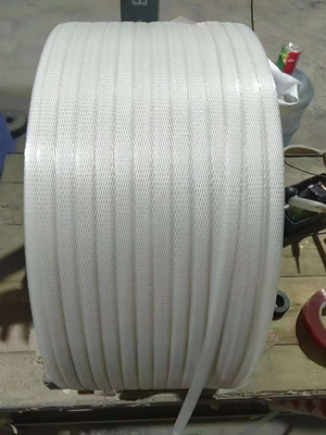 시멘스 모터 380V/220V 전원 공급 장치로 사용자 정의 가능한 PP 스트랩 제조 기계