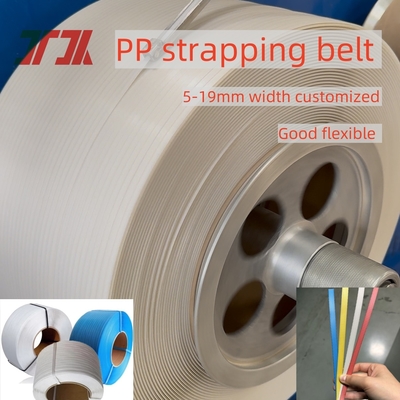 PP 스트래핑 생산 라인 5-19mm 지능형 PP 스트래핑 기계 (자동 스크린 체인저 포함)