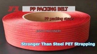 5~19mm PP 포장 벨트